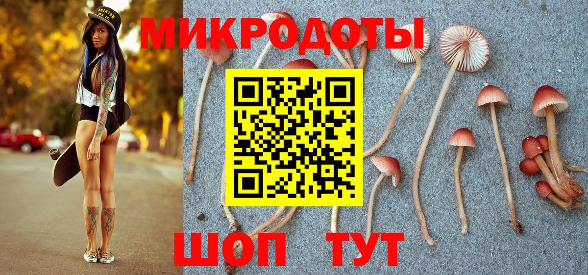 Галлюциногенные грибы Cubensis  Вход с VPN  Кинешма 