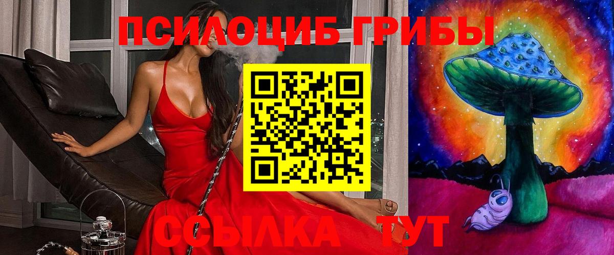 Галлюциногенные грибы MAGIC MUSHROOMS Кинешма